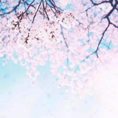 魔卡幻想bt版下载