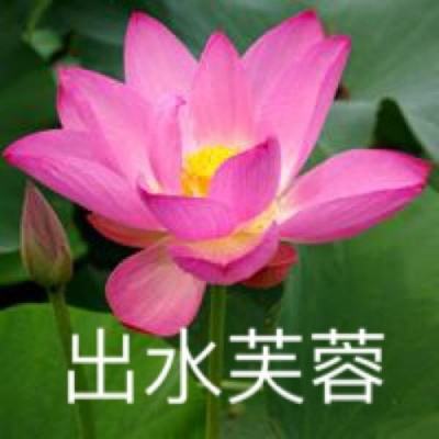 理想、中国汽研就“卡车碰撞测试”致歉：品牌关联风险预估不足，未充分预判并规避信息不完整的潜在风险